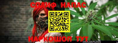 гидропоника Партизанск