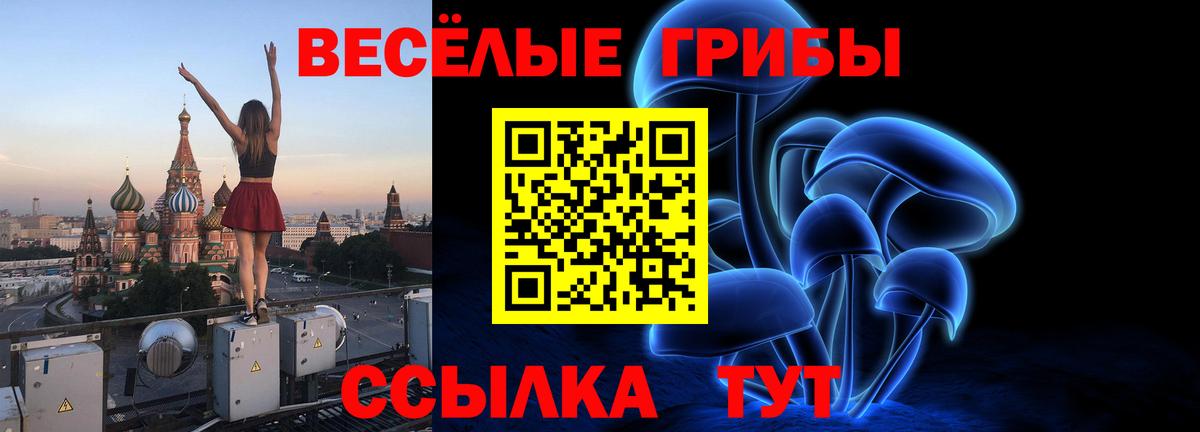 Галлюциногенные грибы прущие грибы  Вход с VPN  Советск 
